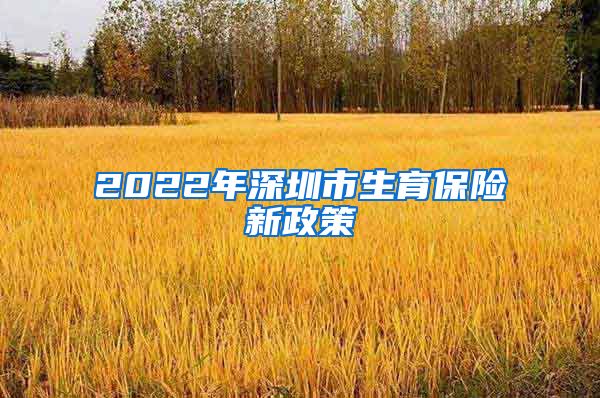 2022年深圳市生育保险新政策