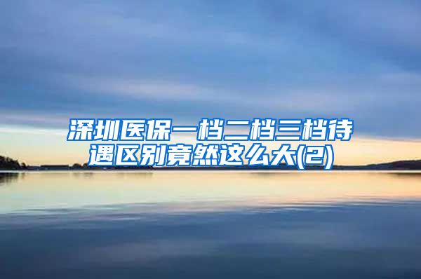 深圳医保一档二档三档待遇区别竟然这么大(2)