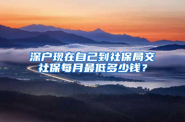 深户现在自己到社保局交社保每月最低多少钱？