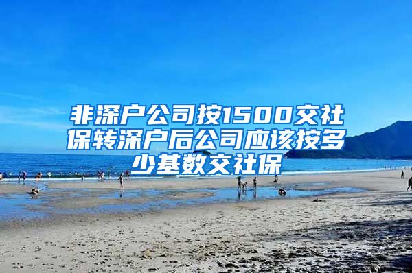 非深户公司按1500交社保转深户后公司应该按多少基数交社保