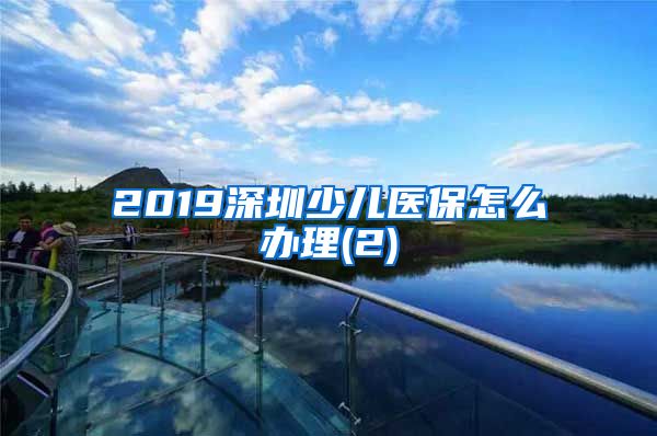 2019深圳少儿医保怎么办理(2)