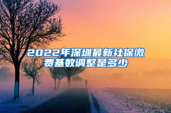 2022年深圳最新社保缴费基数调整是多少