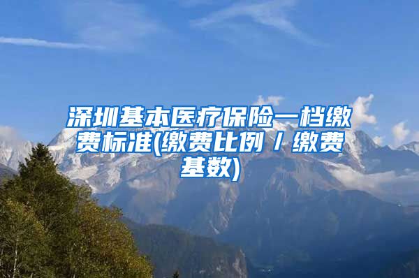 深圳基本医疗保险一档缴费标准(缴费比例／缴费基数)