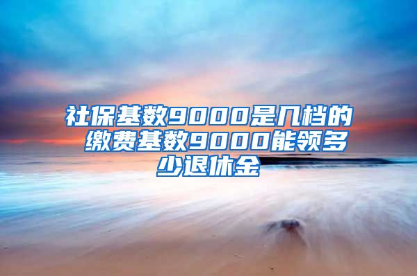 社保基数9000是几档的 缴费基数9000能领多少退休金