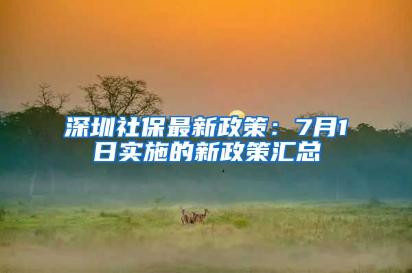 深圳社保最新政策：7月1日实施的新政策汇总