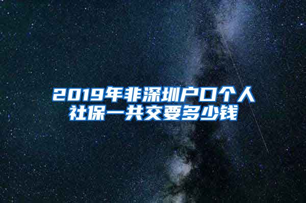 2019年非深圳户口个人社保一共交要多少钱