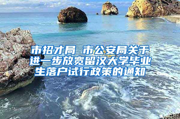 市招才局 市公安局关于进一步放宽留汉大学毕业生落户试行政策的通知