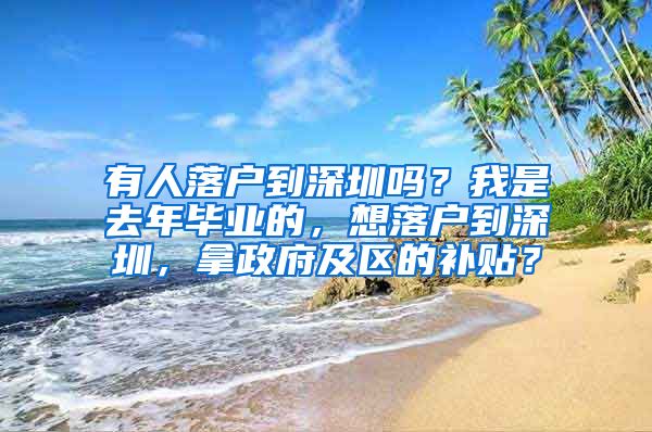 有人落户到深圳吗？我是去年毕业的，想落户到深圳，拿政府及区的补贴？