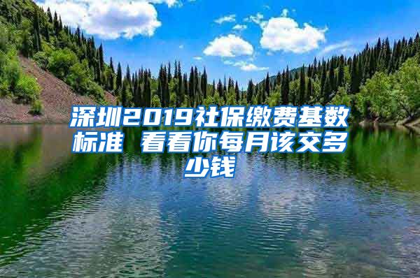 深圳2019社保缴费基数标准 看看你每月该交多少钱