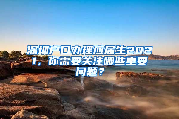 深圳户口办理应届生2021，你需要关注哪些重要问题？