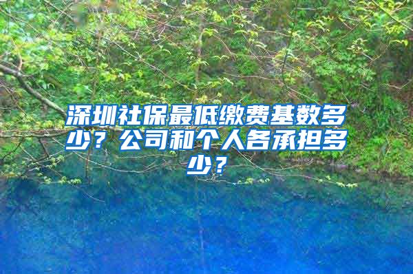 深圳社保最低缴费基数多少？公司和个人各承担多少？