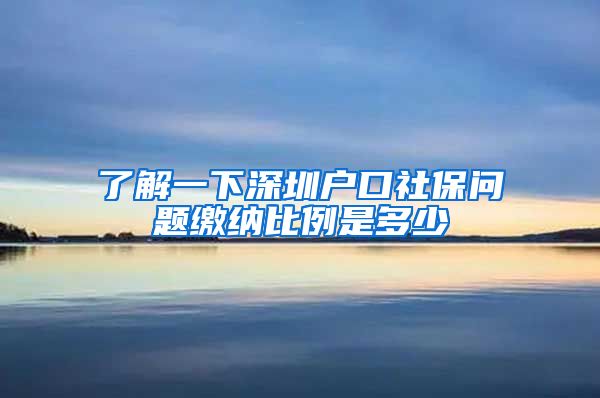 了解一下深圳户口社保问题缴纳比例是多少