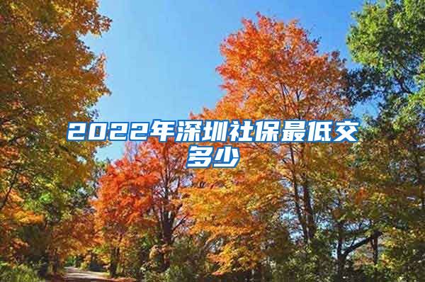 2022年深圳社保最低交多少