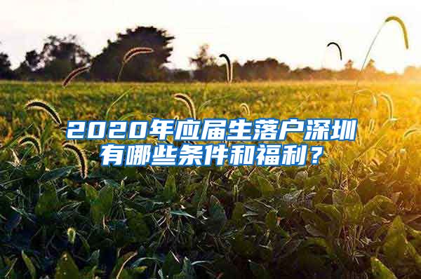2020年应届生落户深圳有哪些条件和福利？