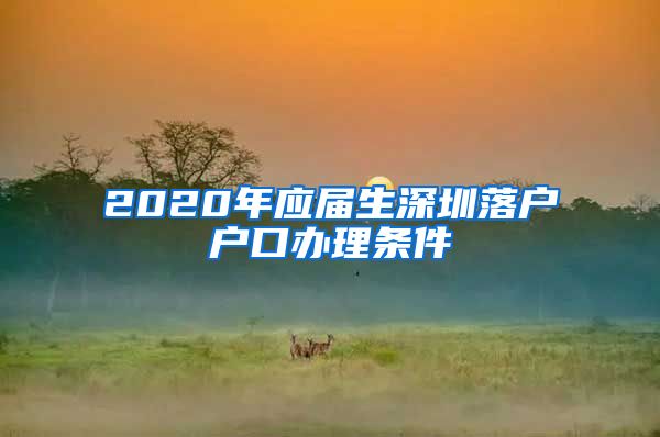 2020年应届生深圳落户户口办理条件