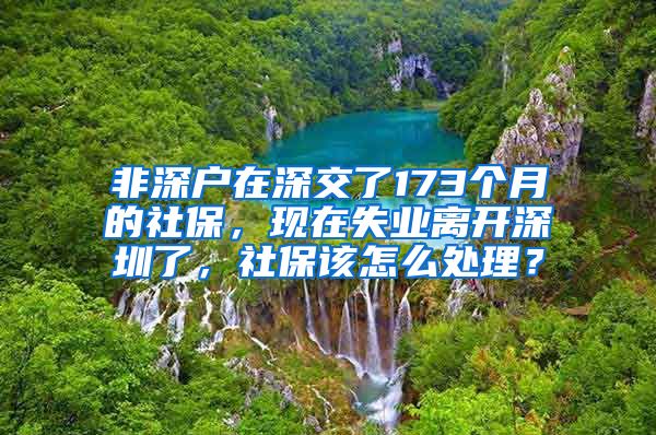 非深户在深交了173个月的社保，现在失业离开深圳了，社保该怎么处理？