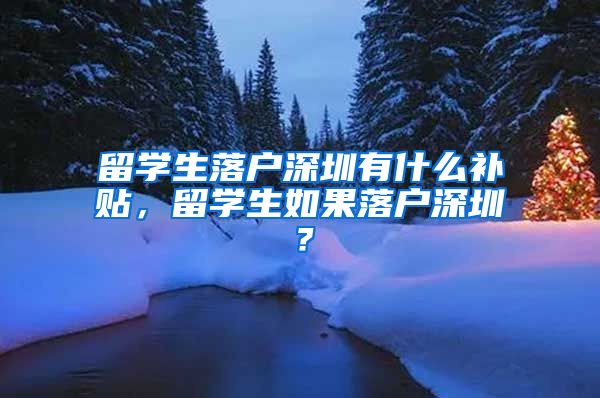 留学生落户深圳有什么补贴，留学生如果落户深圳？