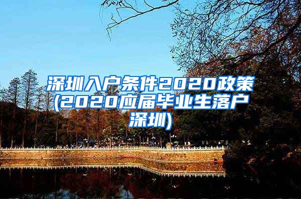 深圳入户条件2020政策(2020应届毕业生落户深圳)