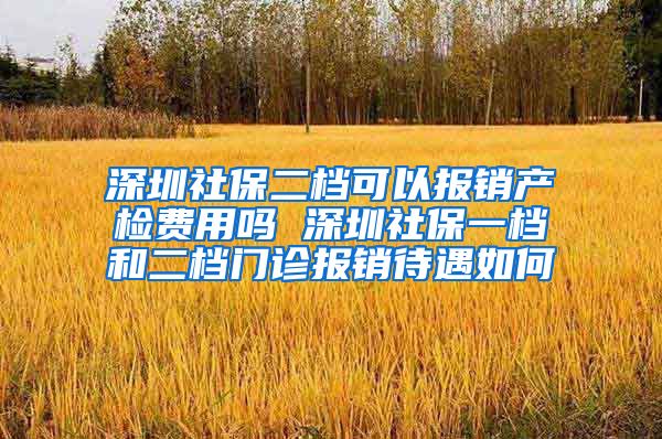 深圳社保二档可以报销产检费用吗 深圳社保一档和二档门诊报销待遇如何