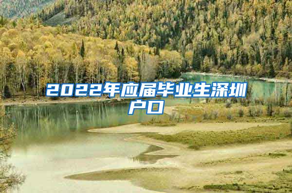 2022年应届毕业生深圳户口