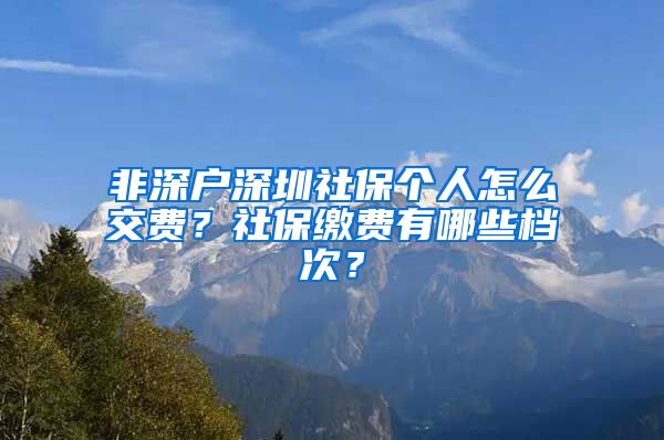 非深户深圳社保个人怎么交费？社保缴费有哪些档次？