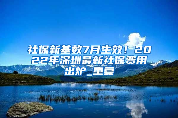 社保新基数7月生效！2022年深圳最新社保费用出炉_重复