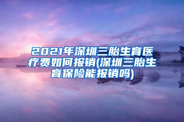 2021年深圳三胎生育医疗费如何报销(深圳三胎生育保险能报销吗)