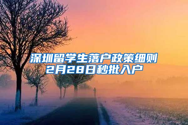 深圳留学生落户政策细则2月28日秒批入户