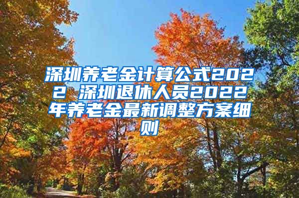 深圳养老金计算公式2022 深圳退休人员2022年养老金最新调整方案细则