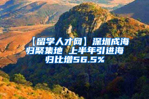 【留学人才网】深圳成海归聚集地 上半年引进海归比增56.5%