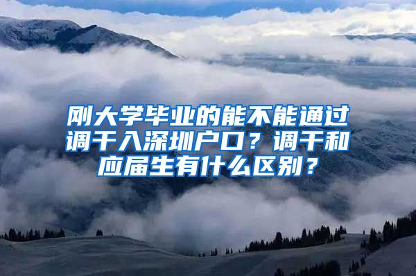 刚大学毕业的能不能通过调干入深圳户口？调干和应届生有什么区别？