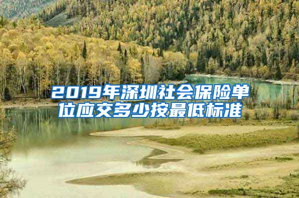 2019年深圳社会保险单位应交多少按最低标准