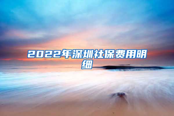 2022年深圳社保费用明细