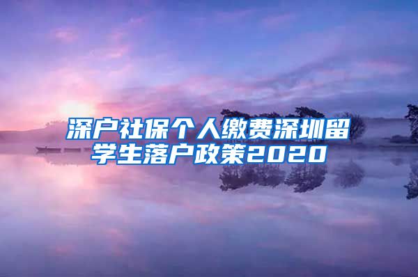 深户社保个人缴费深圳留学生落户政策2020