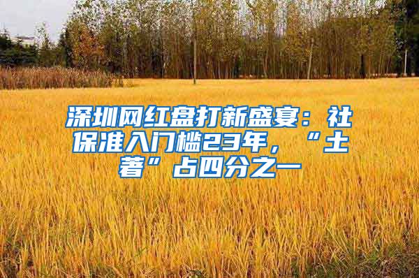 深圳网红盘打新盛宴：社保准入门槛23年，“土著”占四分之一