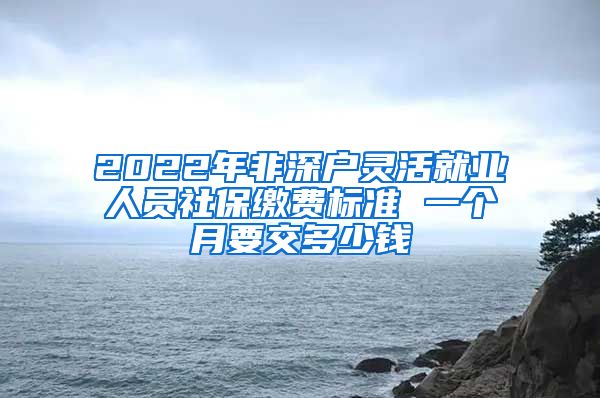 2022年非深户灵活就业人员社保缴费标准 一个月要交多少钱