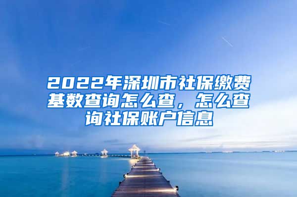 2022年深圳市社保缴费基数查询怎么查，怎么查询社保账户信息