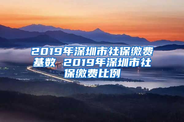 2019年深圳市社保缴费基数 2019年深圳市社保缴费比例