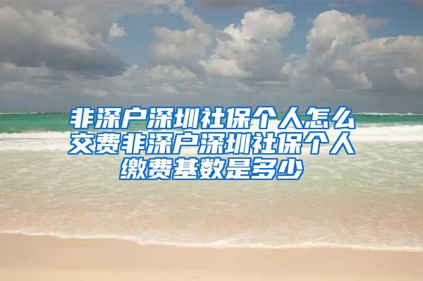 非深户深圳社保个人怎么交费非深户深圳社保个人缴费基数是多少