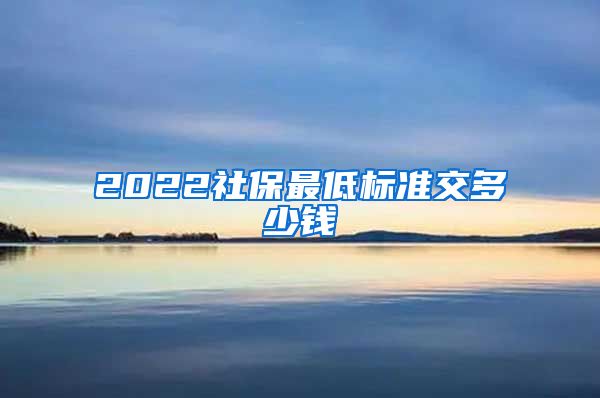 2022社保最低标准交多少钱