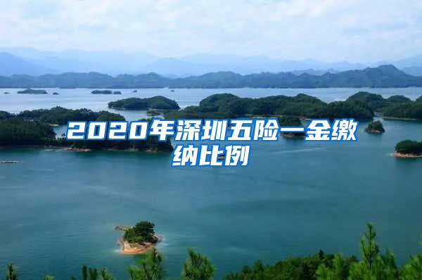 2020年深圳五险一金缴纳比例