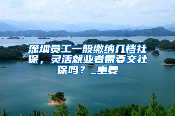 深圳员工一般缴纳几档社保，灵活就业者需要交社保吗？_重复