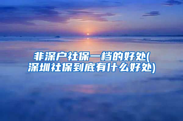 非深户社保一档的好处(深圳社保到底有什么好处)