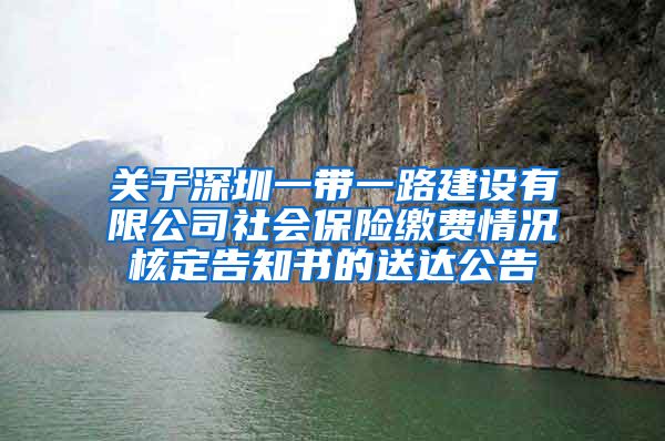 关于深圳一带一路建设有限公司社会保险缴费情况核定告知书的送达公告