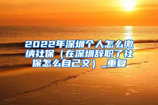 2022年深圳个人怎么缴纳社保（在深圳辞职了社保怎么自己交）_重复
