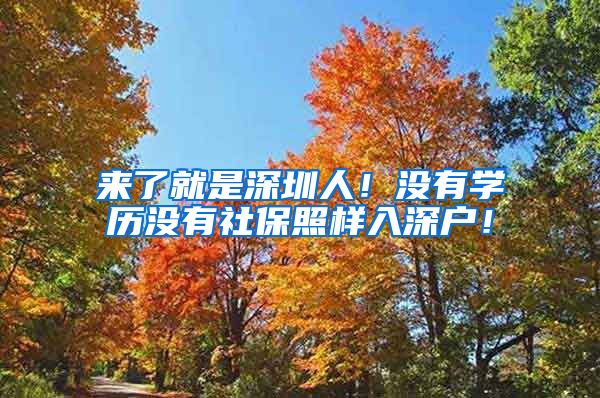 来了就是深圳人！没有学历没有社保照样入深户！