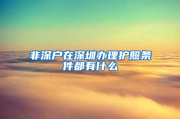 非深户在深圳办理护照条件都有什么