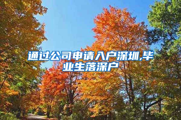 通过公司申请入户深圳,毕业生落深户