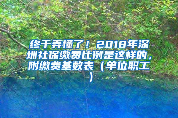 终于弄懂了！2018年深圳社保缴费比例是这样的，附缴费基数表（单位职工）