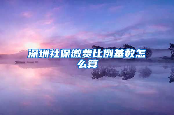 深圳社保缴费比例基数怎么算